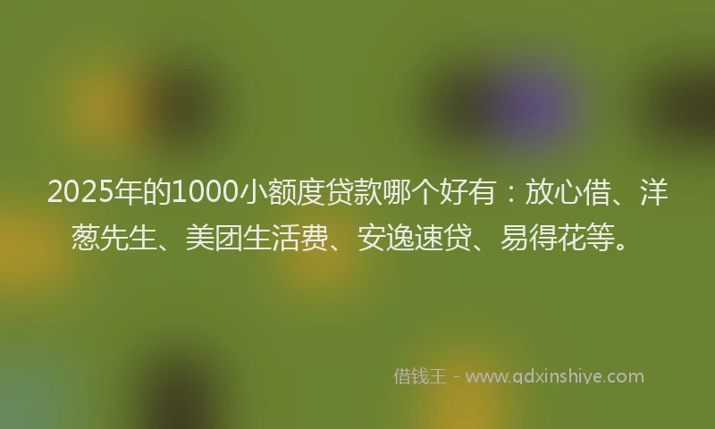 2025年的1000小额度贷款哪个好有：放心借、洋葱先生、美团生活费、安逸速贷、易得花等。