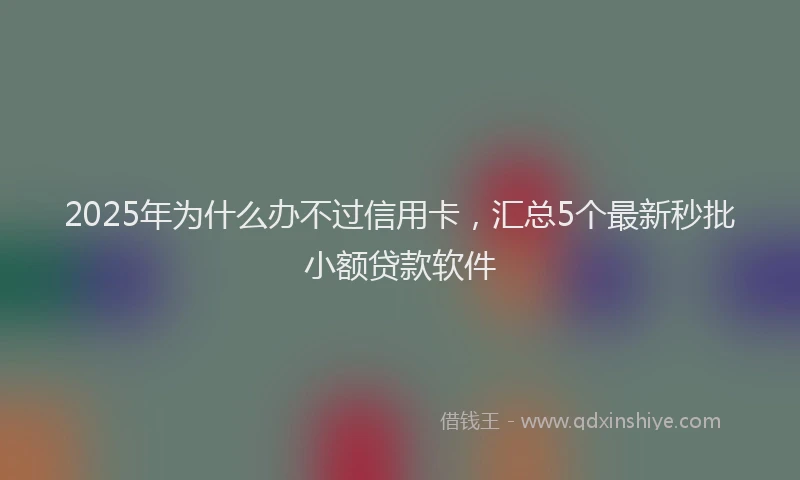 2025年为什么办不过信用卡，汇总5个最新秒批小额贷款软件
