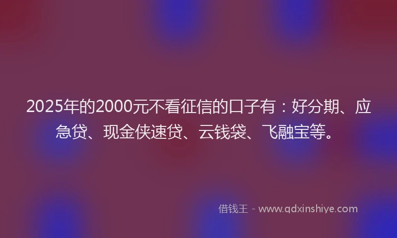 2025年的2000元不看征信的口子有：好分期、应急贷、现金侠速贷、云钱袋、飞融宝等。