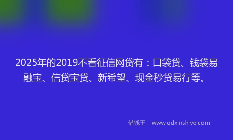 2025年的2019不看征信网贷有：口袋贷、钱袋易融宝、信贷宝贷、新希望、现金秒贷易行等。