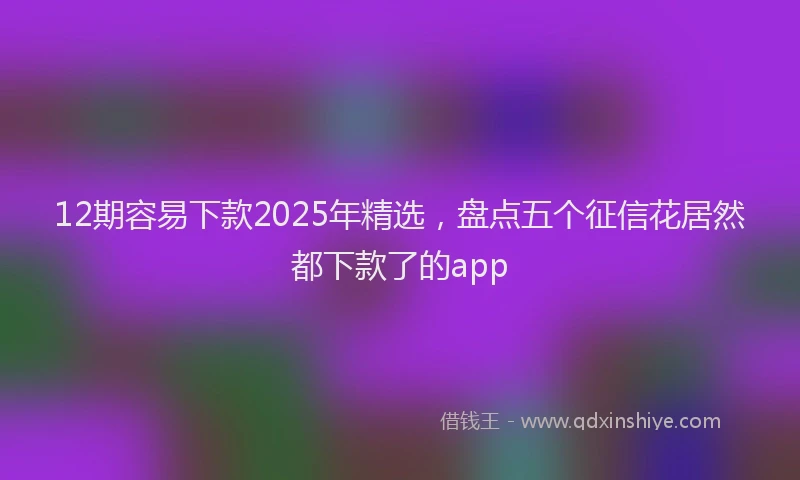 12期容易下款2025年精选，盘点五个征信花居然都下款了的app