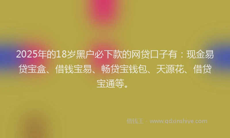 2025年的18岁黑户必下款的网贷口子有：现金易贷宝盒、借钱宝易、畅贷宝钱包、天源花、借贷宝通等。