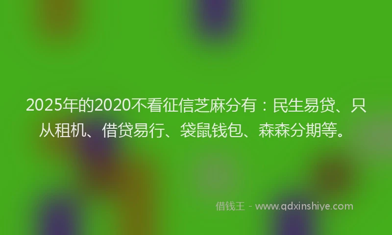 2025年的2020不看征信芝麻分有：民生易贷、只从租机、借贷易行、袋鼠钱包、森森分期等。