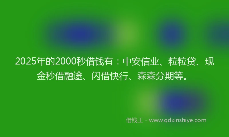 2025年的2000秒借钱有：中安信业、粒粒贷、现金秒借融途、闪借快行、森森分期等。