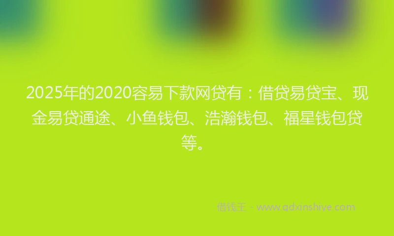 2025年的2020容易下款网贷有：借贷易贷宝、现金易贷通途、小鱼钱包、浩瀚钱包、福星钱包贷等。