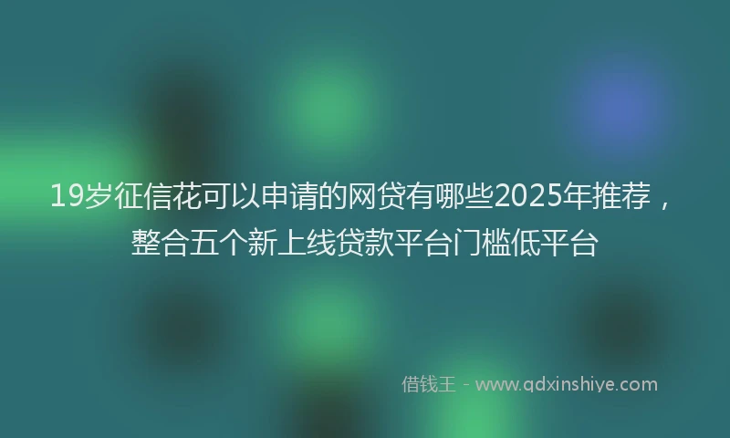 19岁征信花可以申请的网贷有哪些2025年推荐，整合五个新上线贷款平台门槛低平台