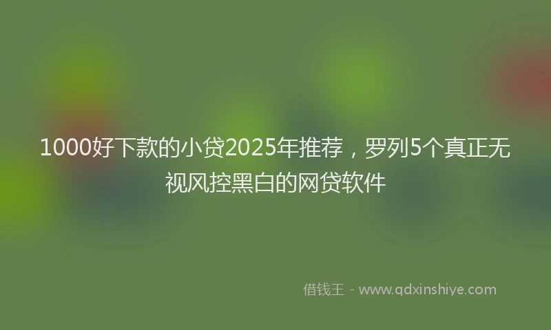 1000好下款的小贷2025年推荐，罗列5个真正无视风控黑白的网贷软件