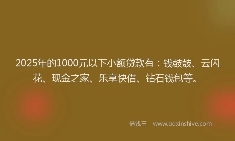 2025年的1000元以下小额贷款有：钱鼓鼓、云闪花、现金之家、乐享快借、钻石钱包等。