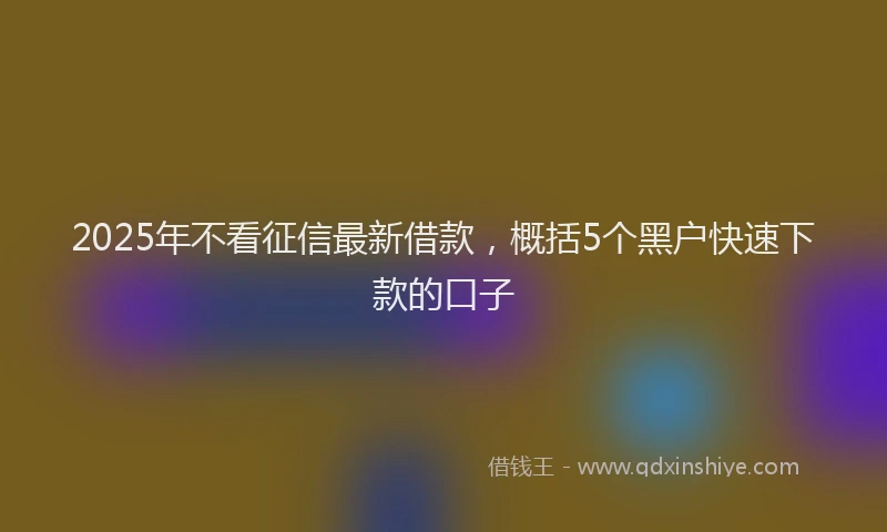 2025年不看征信最新借款，概括5个黑户快速下款的口子