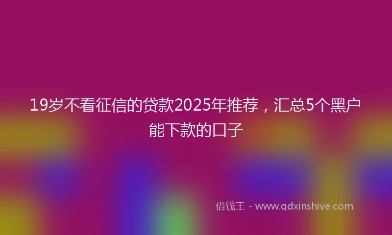 19岁不看征信的贷款2025年推荐，汇总5个黑户能下款的口子