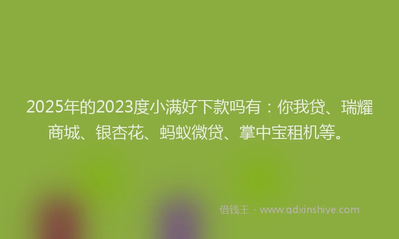 2025年的2023度小满好下款吗有：你我贷、瑞耀商城、银杏花、蚂蚁微贷、掌中宝租机等。