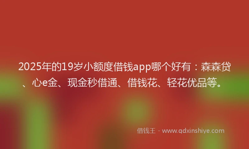 2025年的19岁小额度借钱app哪个好有：森森贷、心e金、现金秒借通、借钱花、轻花优品等。