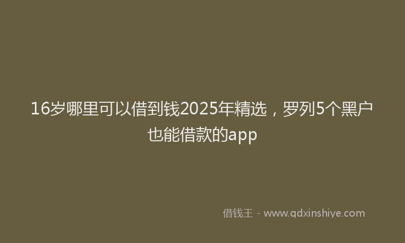 16岁哪里可以借到钱2025年精选，罗列5个黑户也能借款的app