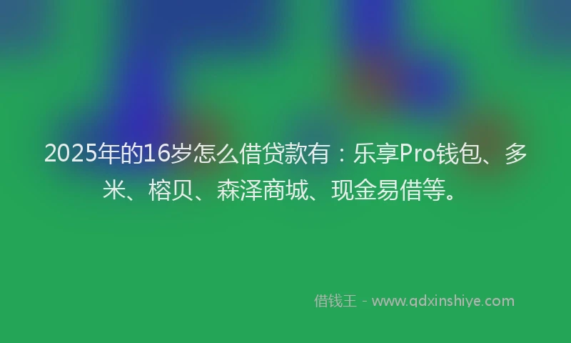 2025年的16岁怎么借贷款有：乐享Pro钱包、多米、榕贝、森泽商城、现金易借等。