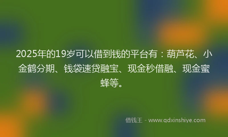 2025年的19岁可以借到钱的平台有：葫芦花、小金鹤分期、钱袋速贷融宝、现金秒借融、现金蜜蜂等。