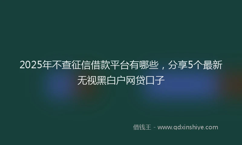 2025年不查征信借款平台有哪些，分享5个最新无视黑白户网贷口子