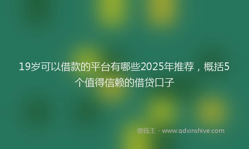 19岁可以借款的平台有哪些2025年推荐，概括5个值得信赖的借贷口子