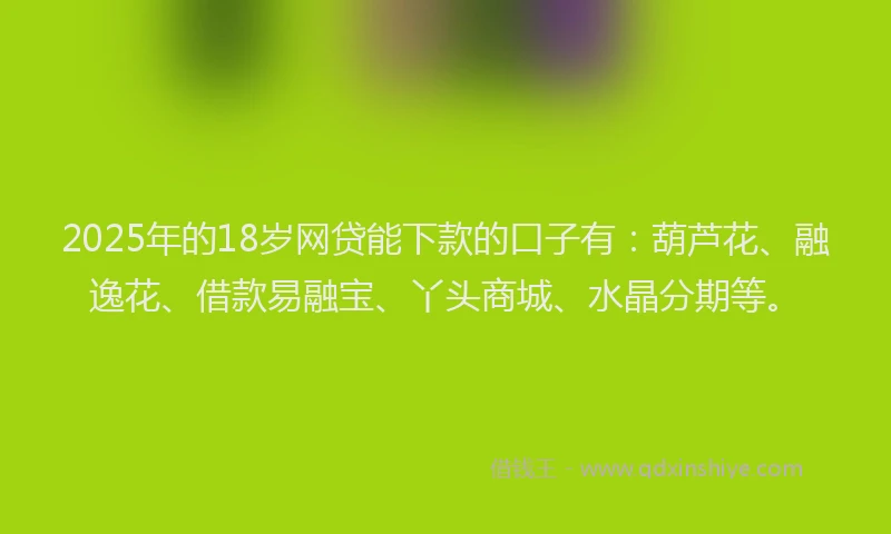 2025年的18岁网贷能下款的口子有：葫芦花、融逸花、借款易融宝、丫头商城、水晶分期等。