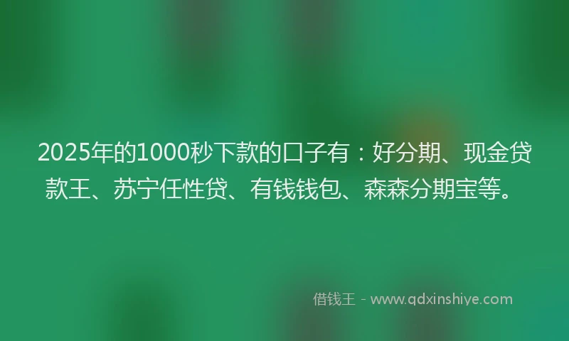 2025年的1000秒下款的口子有：好分期、现金贷款王、苏宁任性贷、有钱钱包、森森分期宝等。