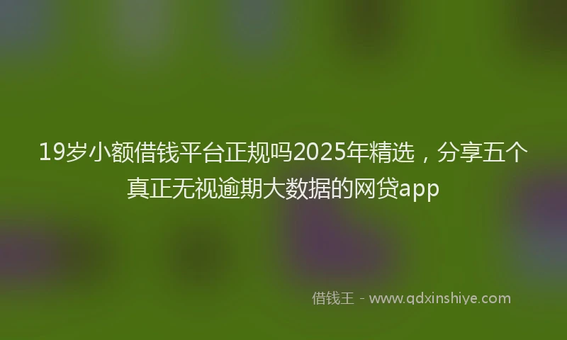 19岁小额借钱平台正规吗2025年精选，分享五个真正无视逾期大数据的网贷app