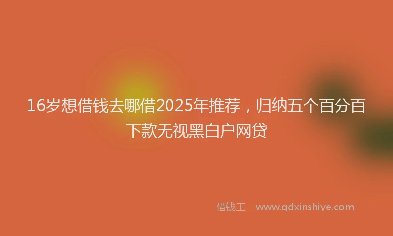16岁想借钱去哪借2025年推荐，归纳五个百分百下款无视黑白户网贷
