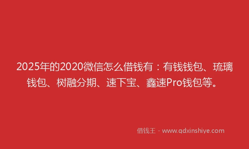 2025年的2020微信怎么借钱有：有钱钱包、琉璃钱包、树融分期、速下宝、鑫速Pro钱包等。