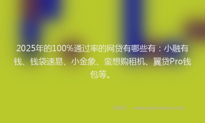 2025年的100%通过率的网贷有哪些有：小融有钱、钱袋速易、小金象、蛮想购租机、翼贷Pro钱包等。