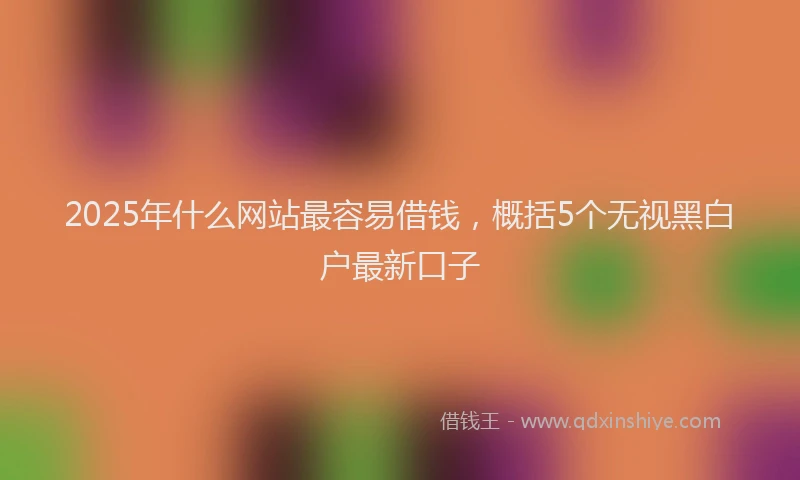 2025年什么网站最容易借钱，概括5个无视黑白户最新口子