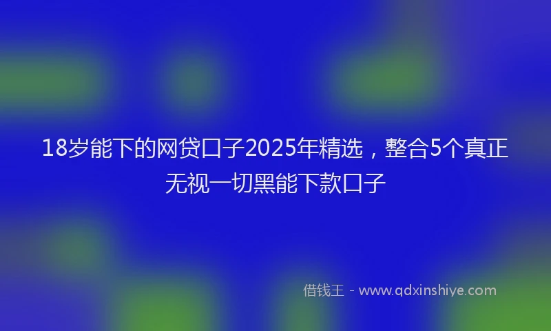 18岁能下的网贷口子2025年精选，整合5个真正无视一切黑能下款口子