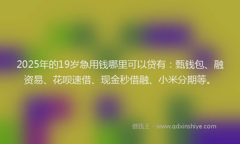 2025年的19岁急用钱哪里可以贷有：甄钱包、融资易、花呗速借、现金秒借融、小米分期等。
