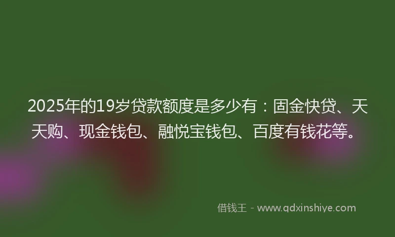 2025年的19岁贷款额度是多少有：固金快贷、天天购、现金钱包、融悦宝钱包、百度有钱花等。