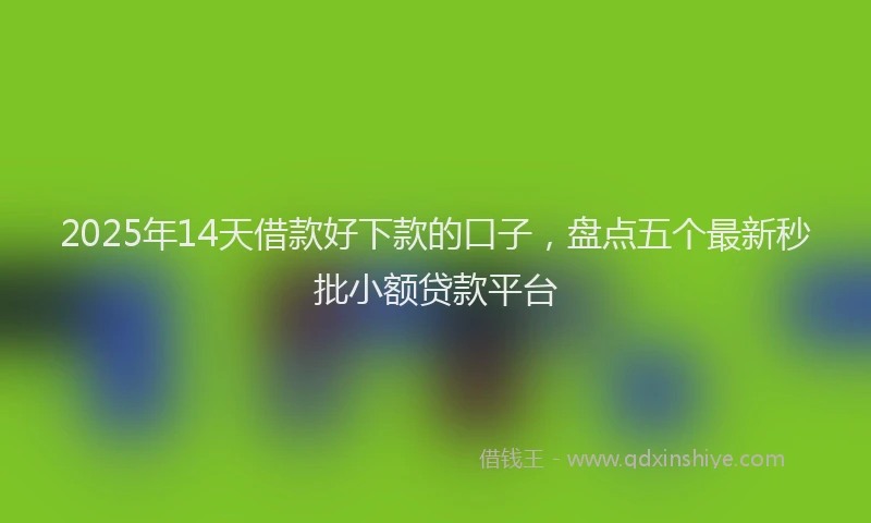 2025年14天借款好下款的口子，盘点五个最新秒批小额贷款平台