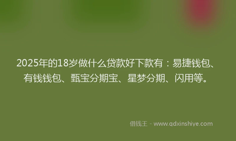 2025年的18岁做什么贷款好下款有：易捷钱包、有钱钱包、甄宝分期宝、星梦分期、闪用等。