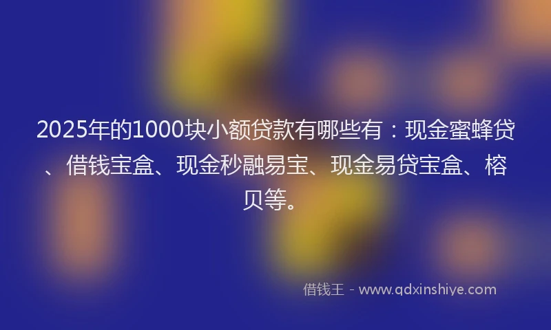 2025年的1000块小额贷款有哪些有：现金蜜蜂贷、借钱宝盒、现金秒融易宝、现金易贷宝盒、榕贝等。