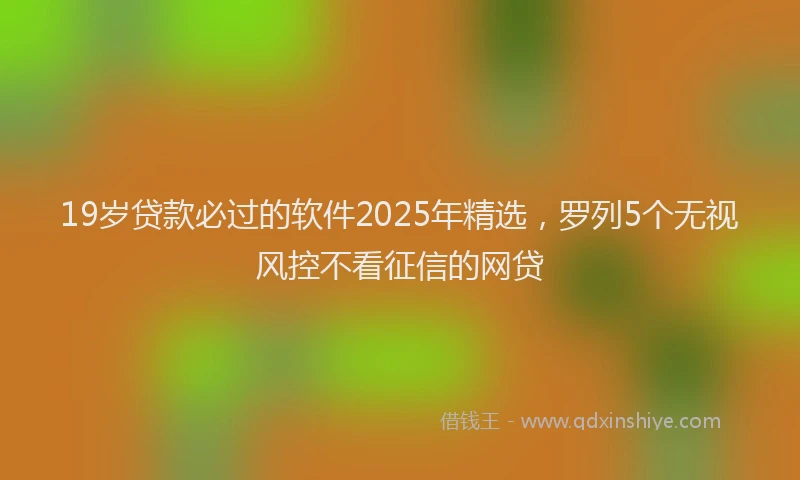 19岁贷款必过的软件2025年精选，罗列5个无视风控不看征信的网贷
