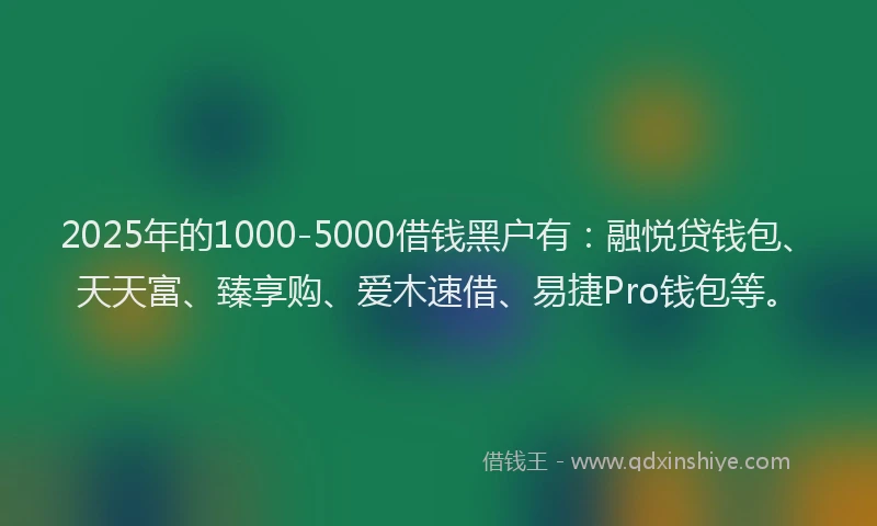 2025年的1000-5000借钱黑户有：融悦贷钱包、天天富、臻享购、爱木速借、易捷Pro钱包等。