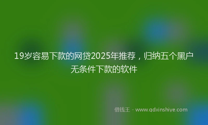 19岁容易下款的网贷2025年推荐，归纳五个黑户无条件下款的软件