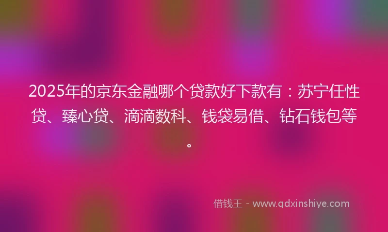 2025年的京东金融哪个贷款好下款有：苏宁任性贷、臻心贷、滴滴数科、钱袋易借、钻石钱包等。