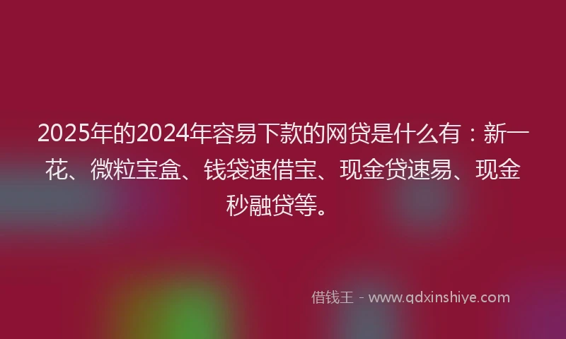2025年的2024年容易下款的网贷是什么有：新一花、微粒宝盒、钱袋速借宝、现金贷速易、现金秒融贷等。