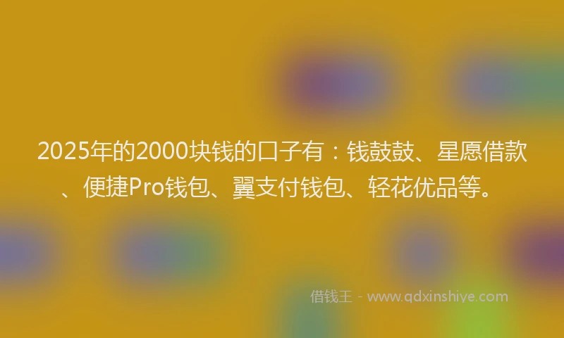 2025年的2000块钱的口子有：钱鼓鼓、星愿借款、便捷Pro钱包、翼支付钱包、轻花优品等。