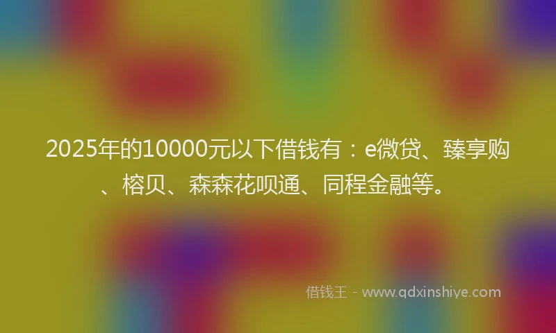 2025年的10000元以下借钱有：e微贷、臻享购、榕贝、森森花呗通、同程金融等。