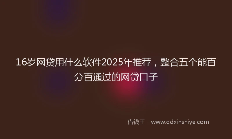 16岁网贷用什么软件2025年推荐，整合五个能百分百通过的网贷口子