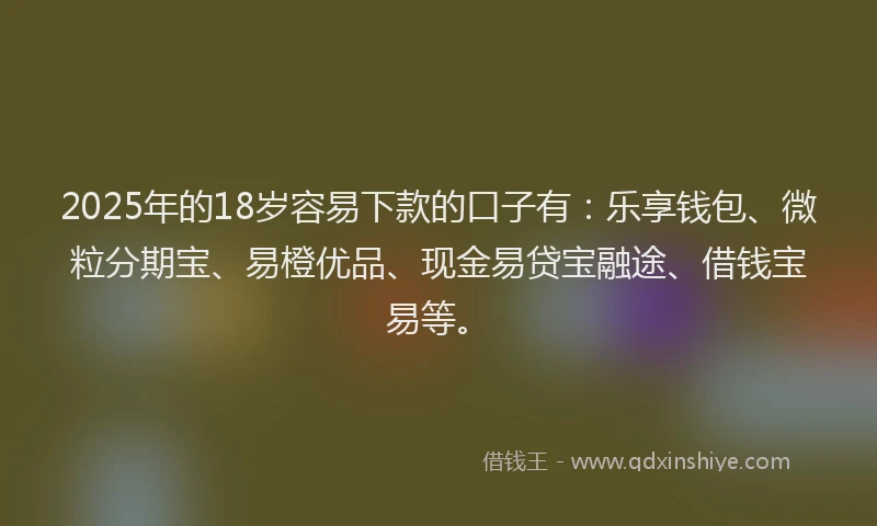 2025年的18岁容易下款的口子有：乐享钱包、微粒分期宝、易橙优品、现金易贷宝融途、借钱宝易等。