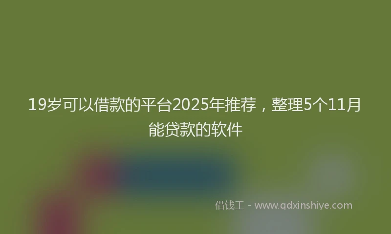 19岁可以借款的平台2025年推荐，整理5个11月能贷款的软件