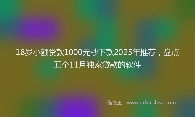 18岁小额贷款1000元秒下款2025年推荐，盘点五个11月独家贷款的软件