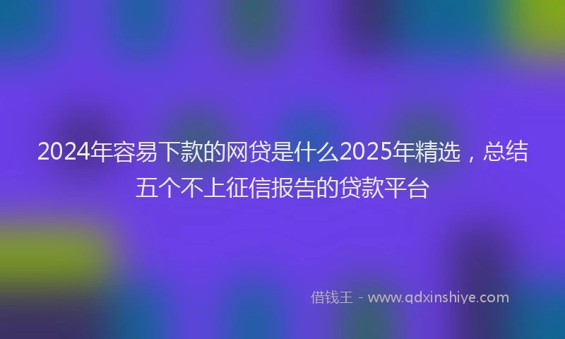 2024年容易下款的网贷是什么2025年精选，总结五个不上征信报告的贷款平台