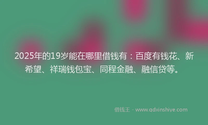 2025年的19岁能在哪里借钱有：百度有钱花、新希望、祥瑞钱包宝、同程金融、融信贷等。