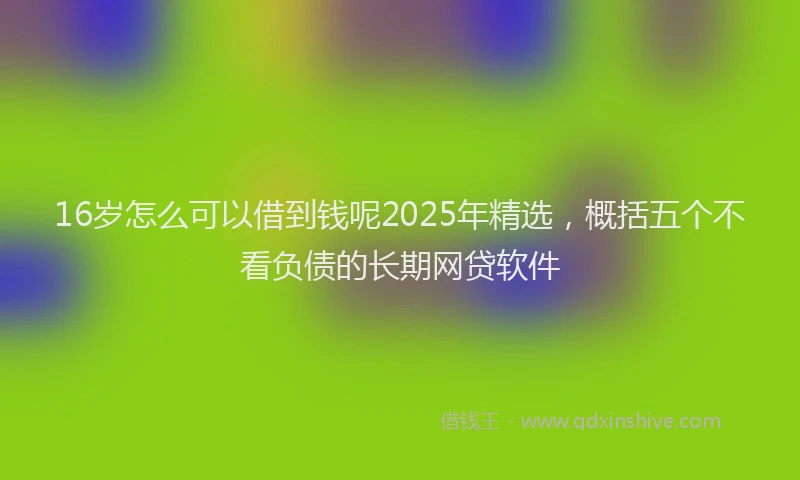 16岁怎么可以借到钱呢2025年精选，概括五个不看负债的长期网贷软件