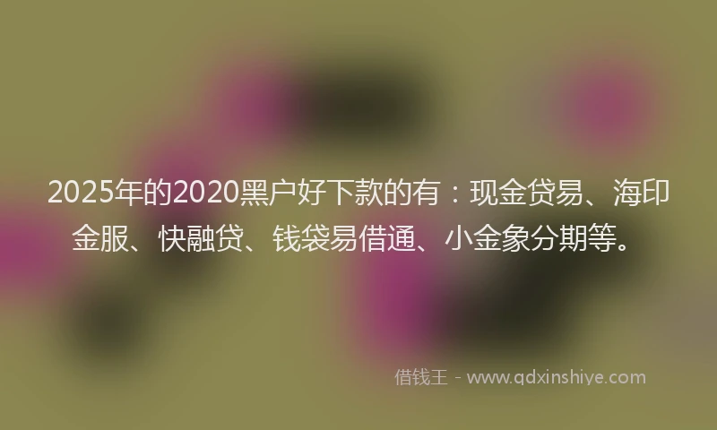 2025年的2020黑户好下款的有：现金贷易、海印金服、快融贷、钱袋易借通、小金象分期等。