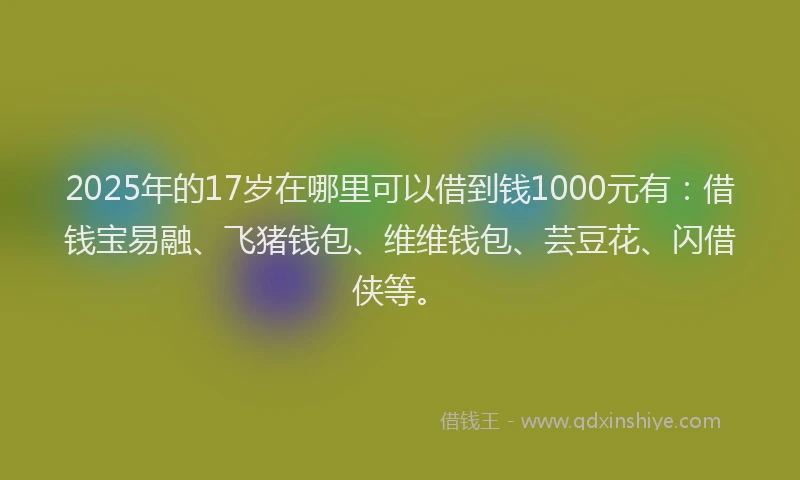 2025年的17岁在哪里可以借到钱1000元有：借钱宝易融、飞猪钱包、维维钱包、芸豆花、闪借侠等。